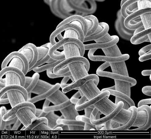 microscopio_electronico