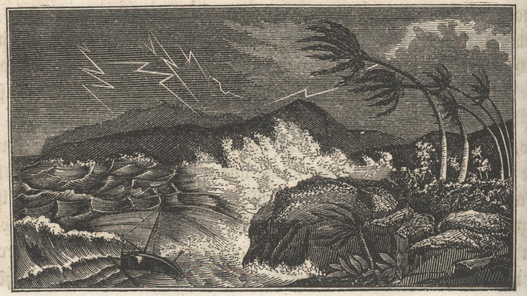 El cuadro Naturwunder Im Reiche der Luft, de  W.F.M. Zimmerman.