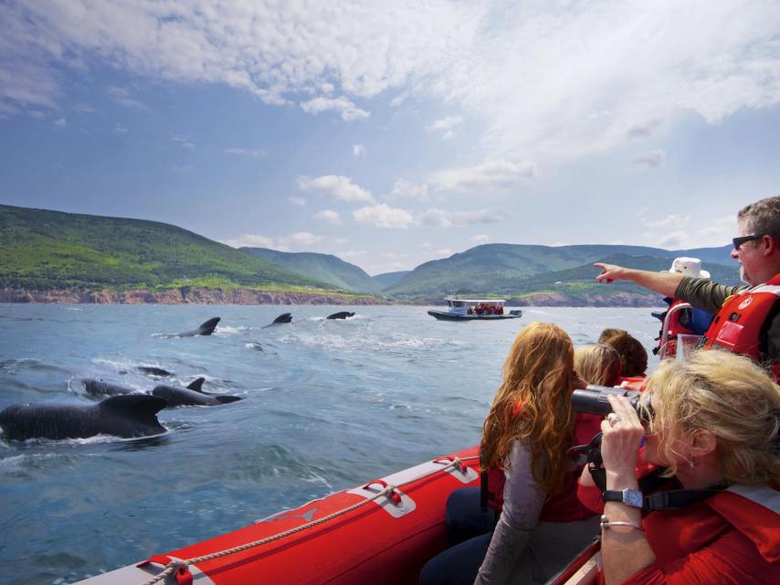 La naturaleza es la maravilla de la que pueden presumir.