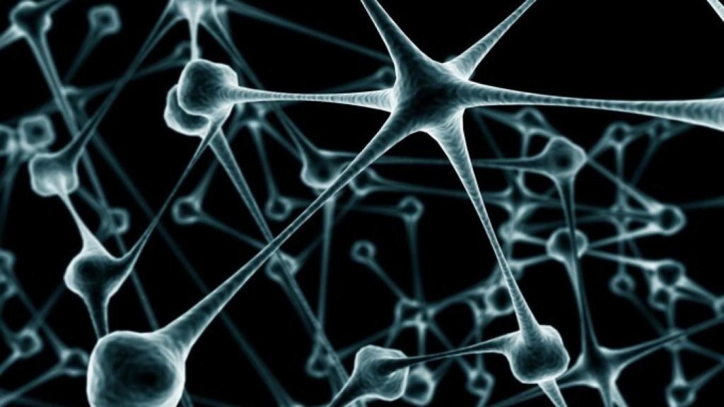 neuronas_cerebrales