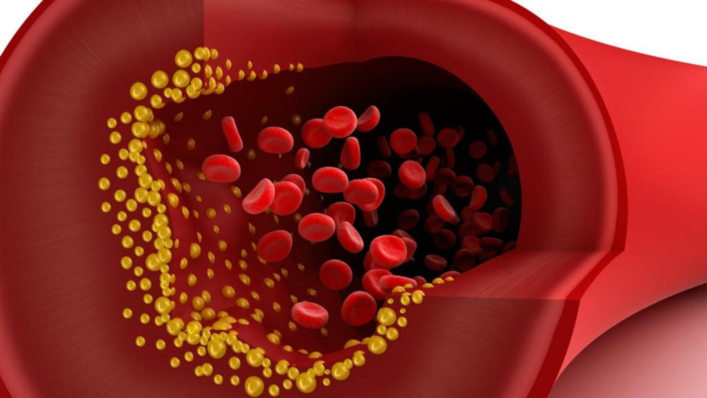 Alimentos-con-colesterol-malo-bueno-1