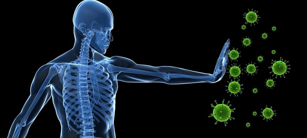 sistema-inmune