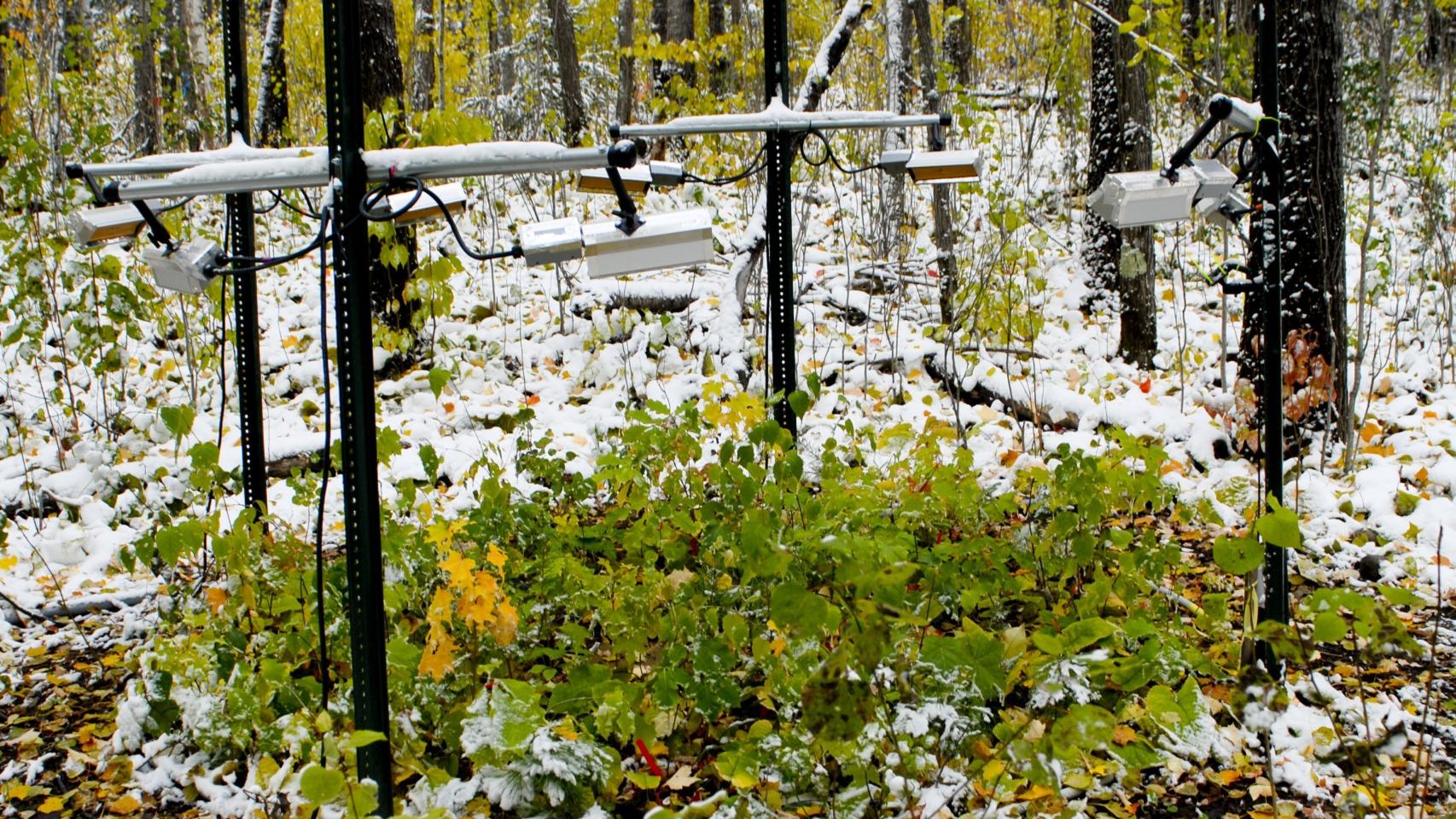 Otro de los escenarios del experimento.