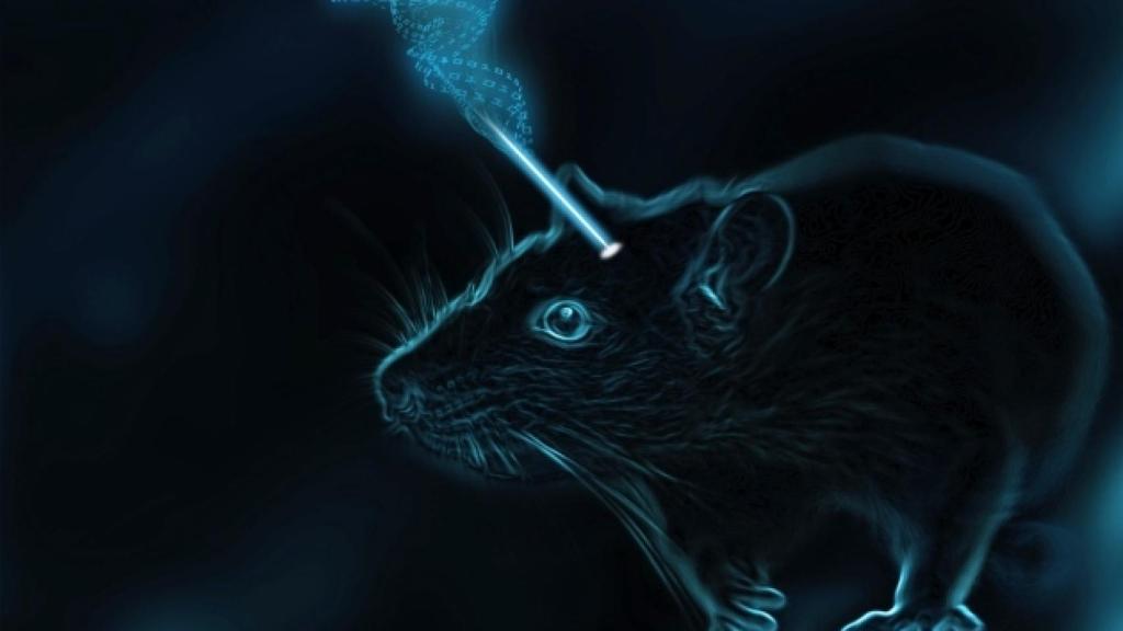 borrar_restaurar_memoria