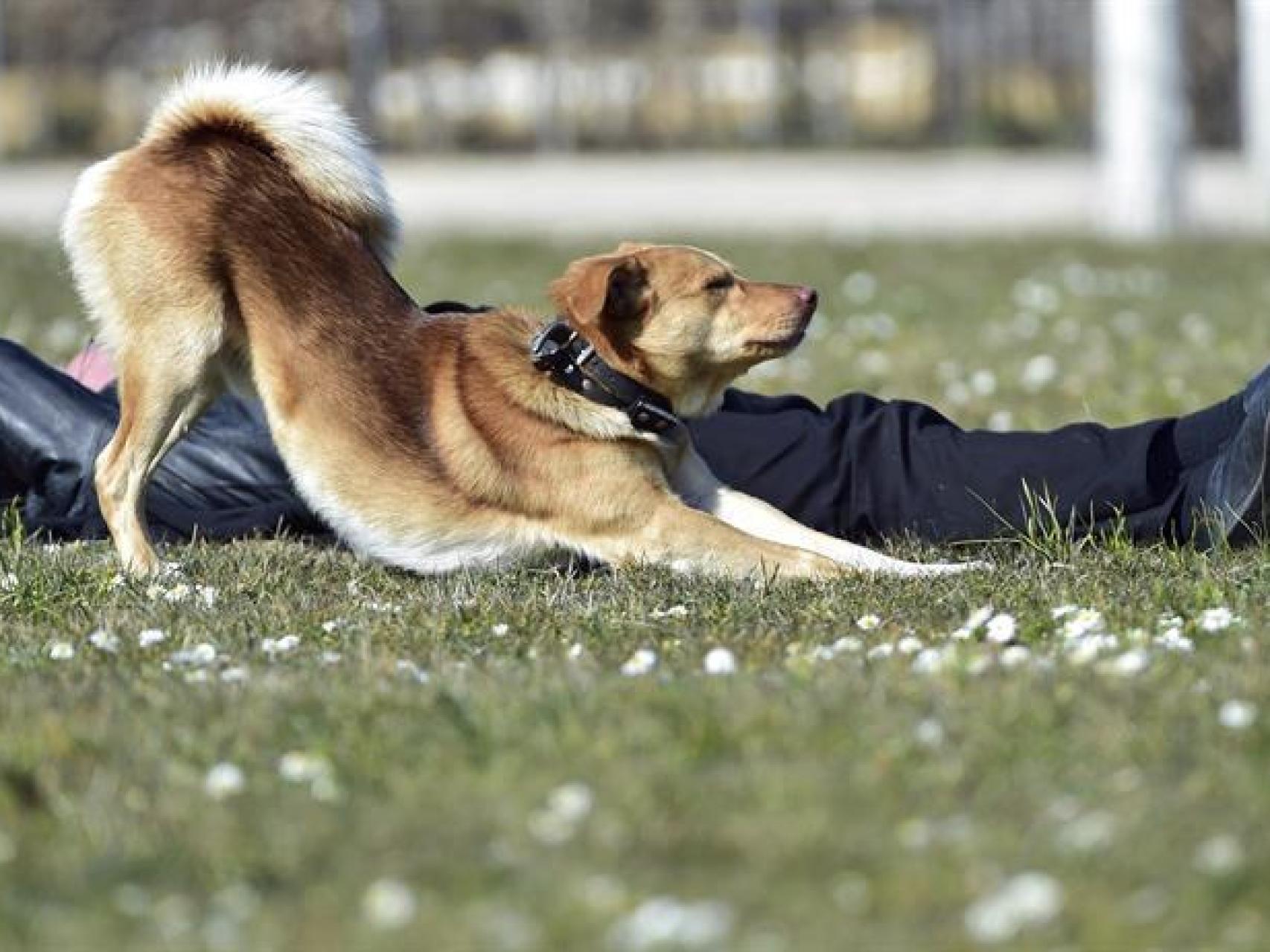 DÍA SOLEADO EN FRÁNCFORT DEL MENO