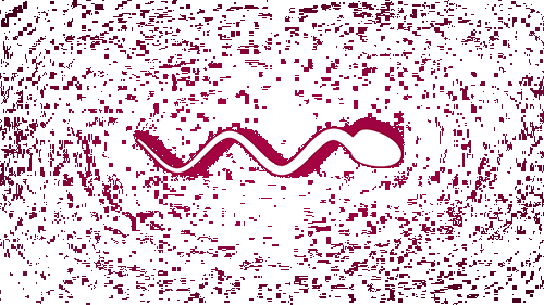 espermatozoide_nadando