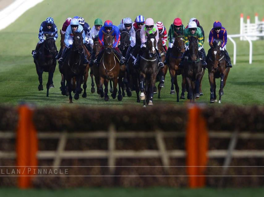 The Cheltenham Festival