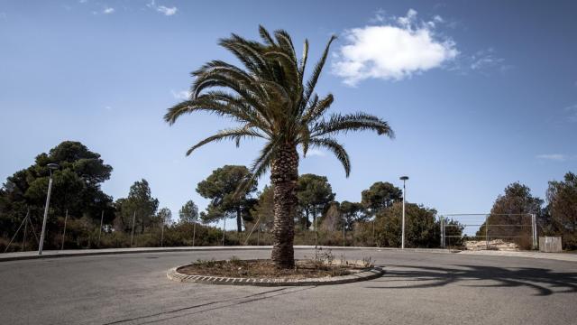 Los cambios en el proyecto han dejado rotondas que no llevan a ningún lado