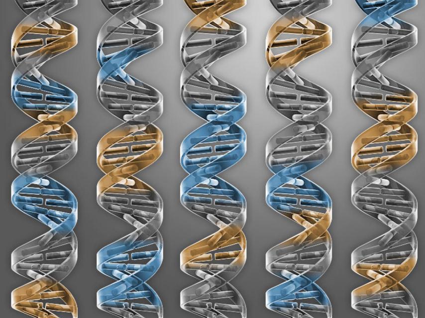 Los científicos han generado un genoma bacteriano mínimo.