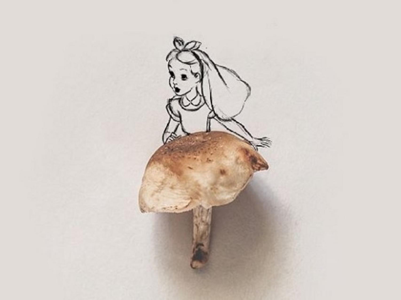 Otra falda para Alicia