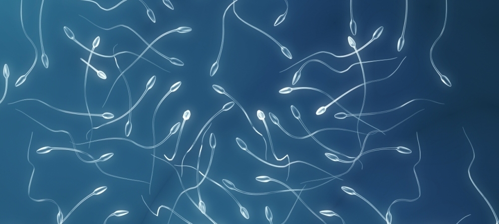 Esperma