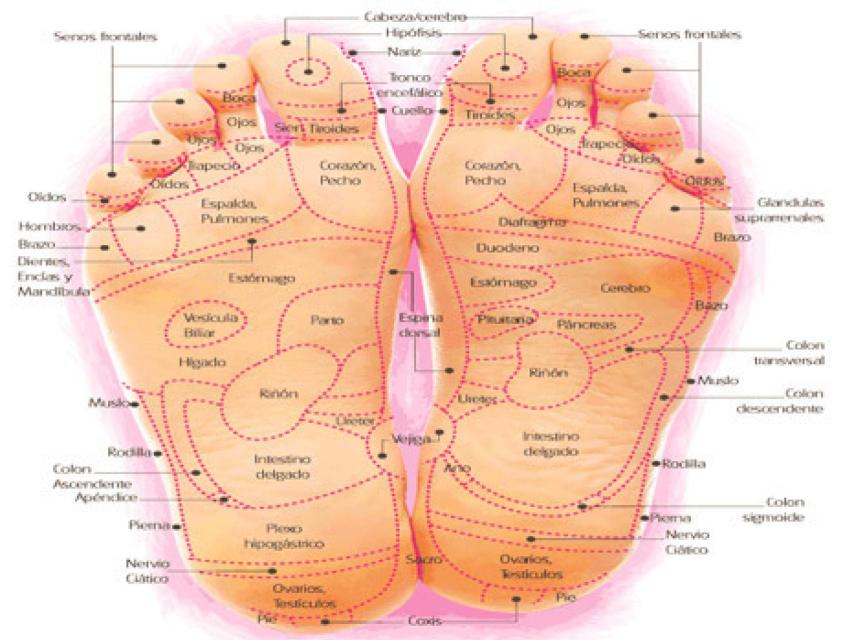 ¿Qué es la reflexología podal?