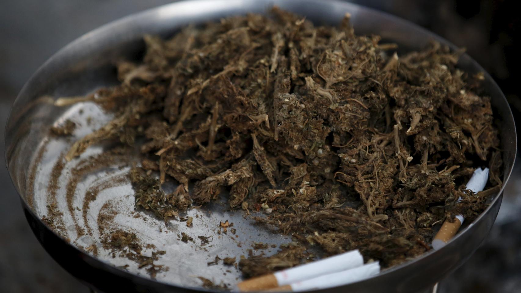 Un plato de marihuana en el festival Shivaratri de la India.