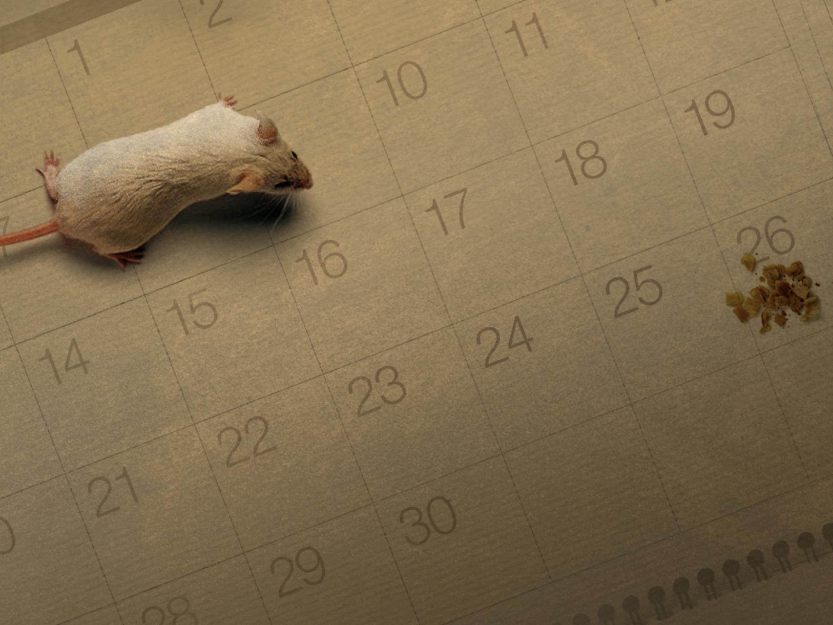 La investidura: una final a doble partido