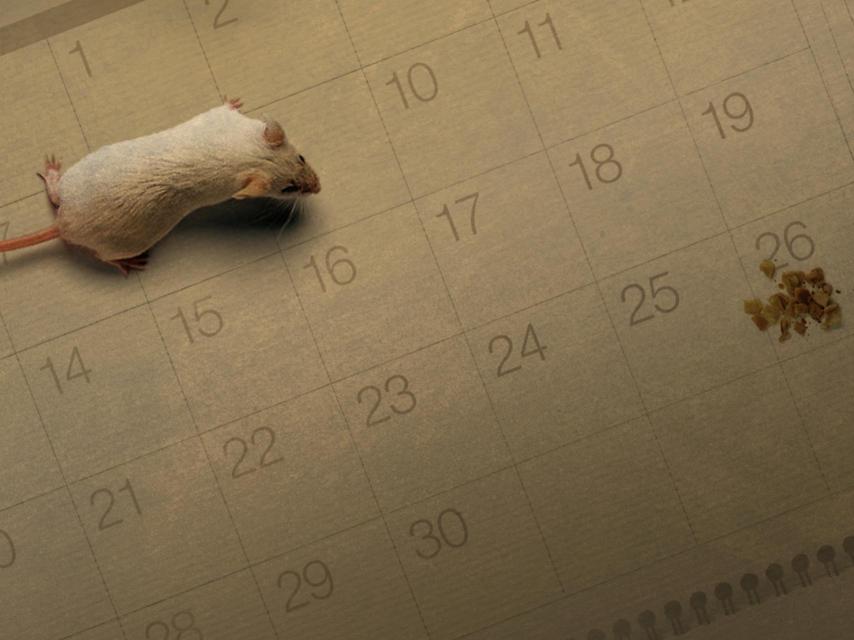 La investidura: una final a doble partido