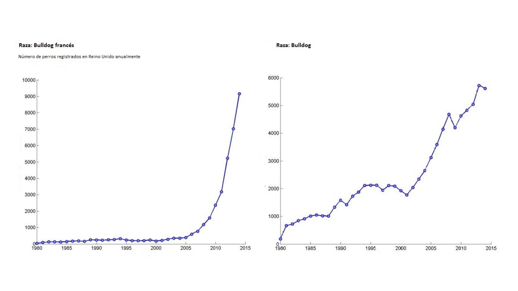 Registro de dos razas braquiocéfalas en Reino Unido según datos del Kennel Club.