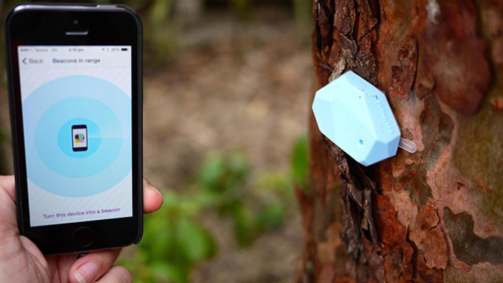 Image: La nube, los robots y el internet de las cosas (culturales)