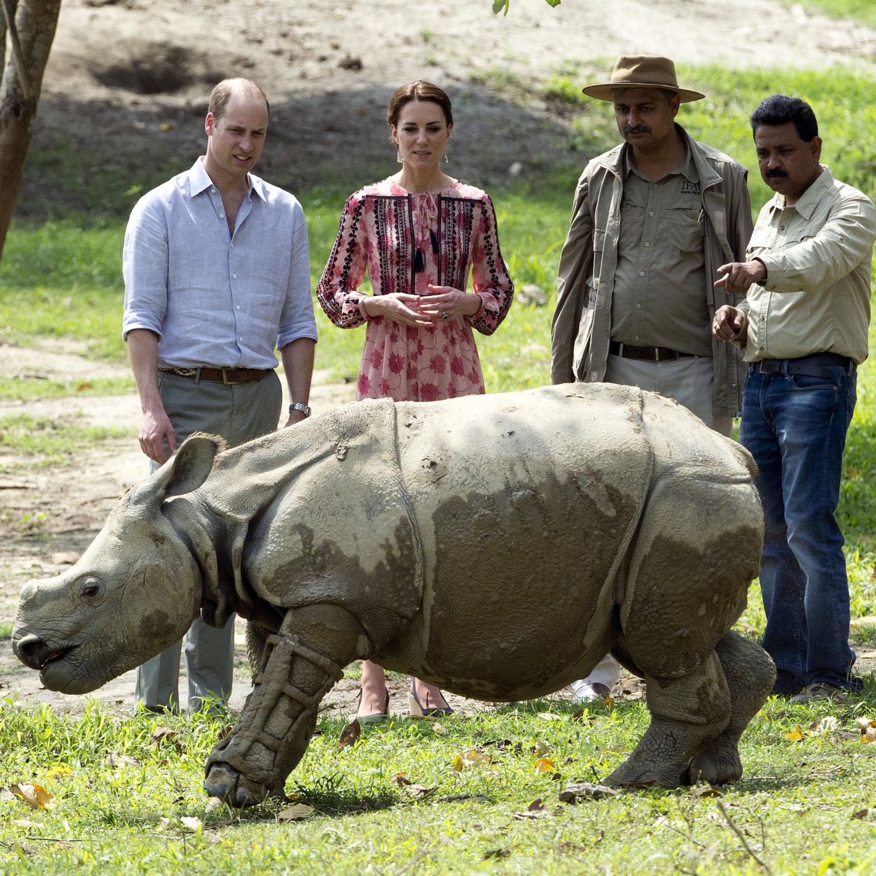 Guillermo y Kate Middleton en el centro de rehabilitación de animales