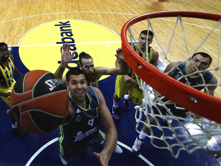 En vivo, Euroliga: Fenerbahce - Real Madrid