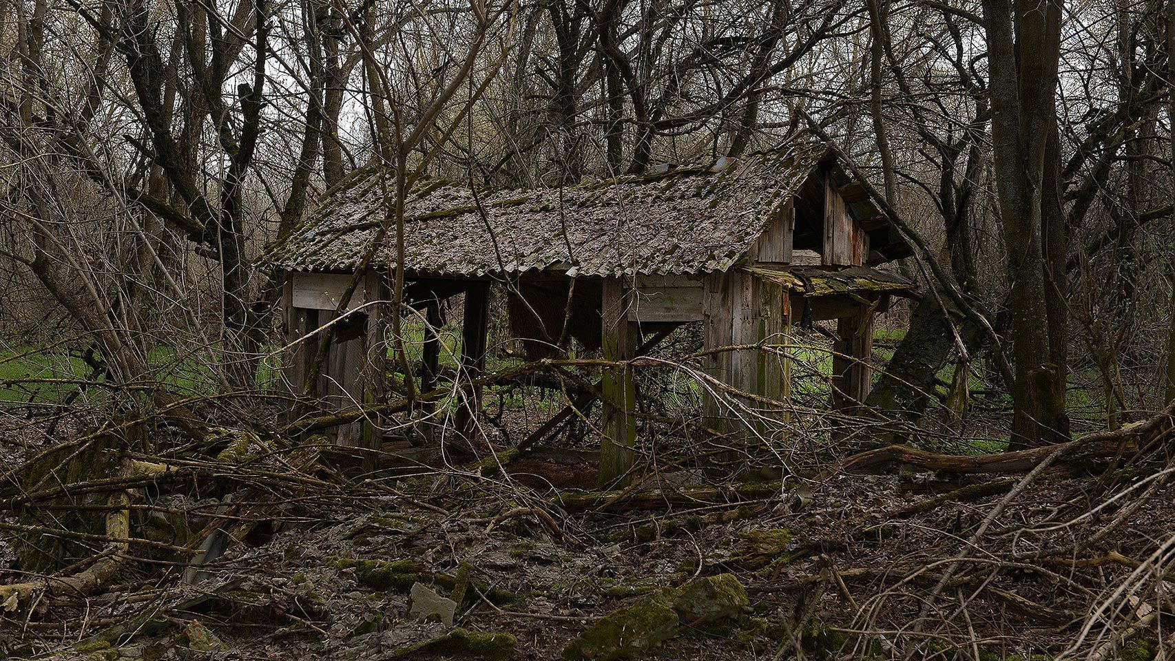 Casa abandonada por la radiación.
