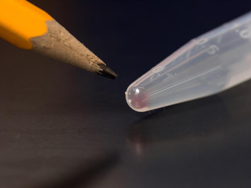 En el material rosado de la derecha pueden almacenarse 10.000 gigabytes.