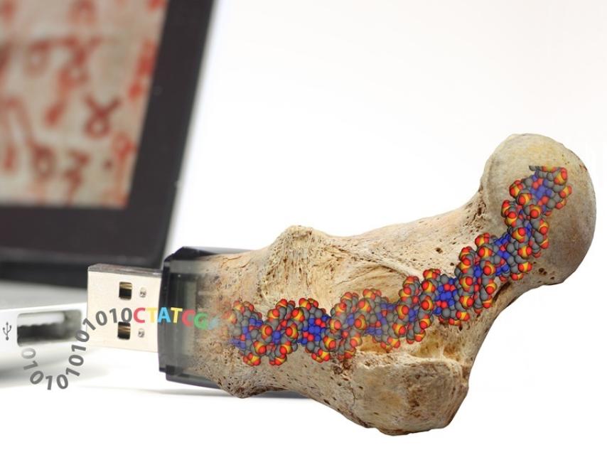 Los investigadores se inspiran en los fósiles a la hora de almacenar datos.