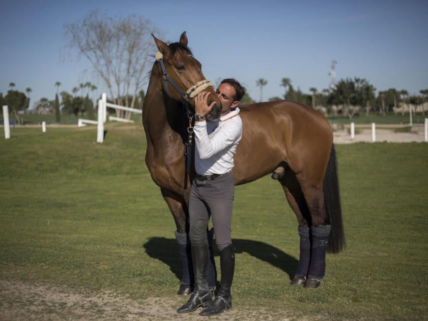 Hito, caballo olímpico.