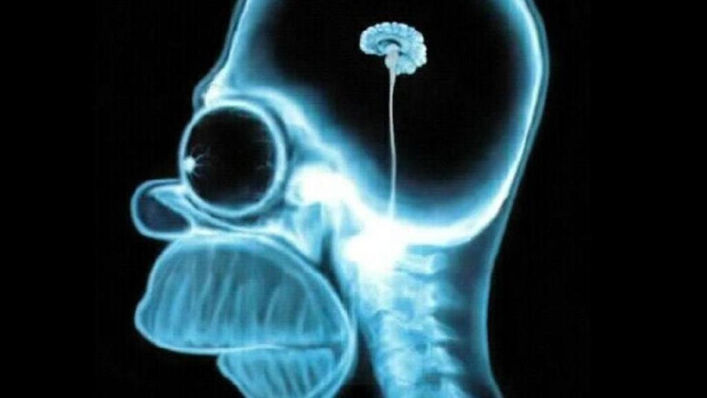 homer-simpson-wallpaper-brain-1024