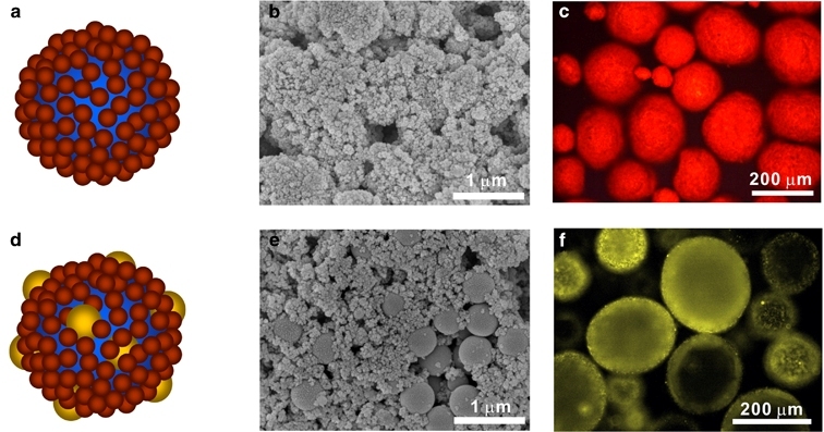 nanoparticulas-tumor