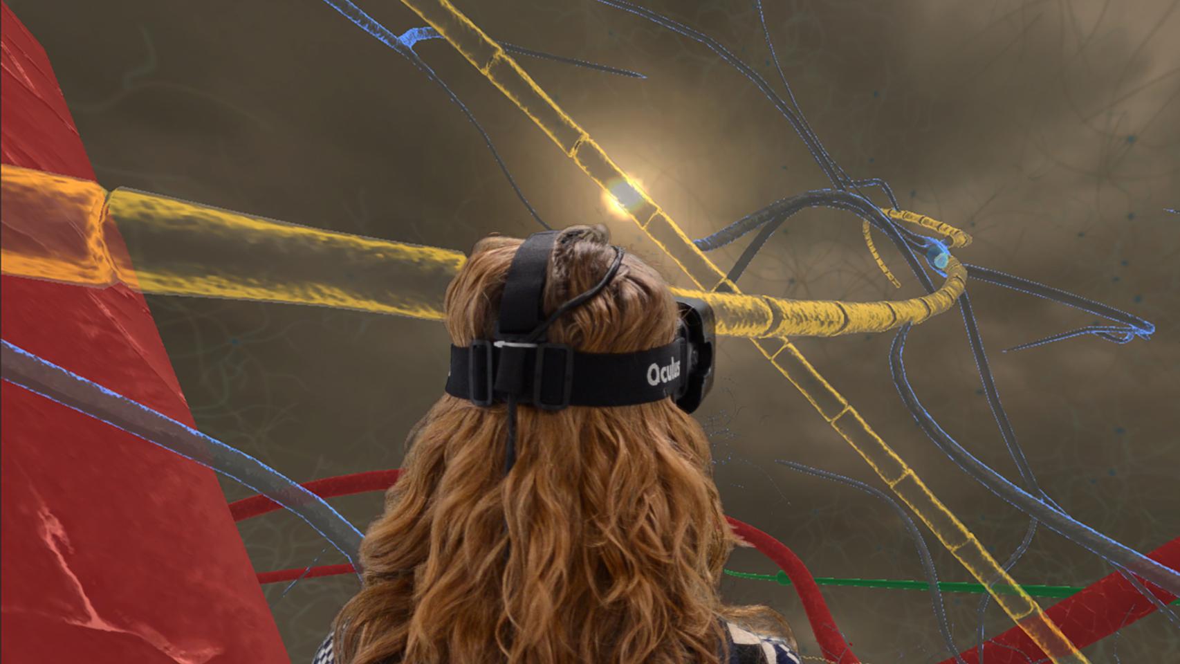 Los nuevos casos de VR son más asequibles y ello ayuda a la investigación.