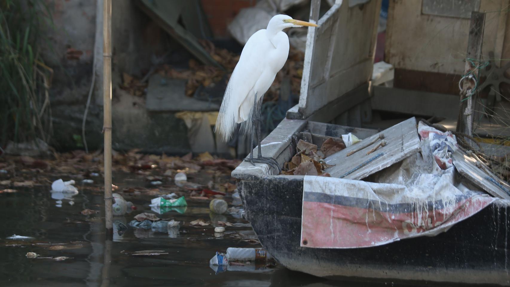 Polución en la bahía de Guanabara.