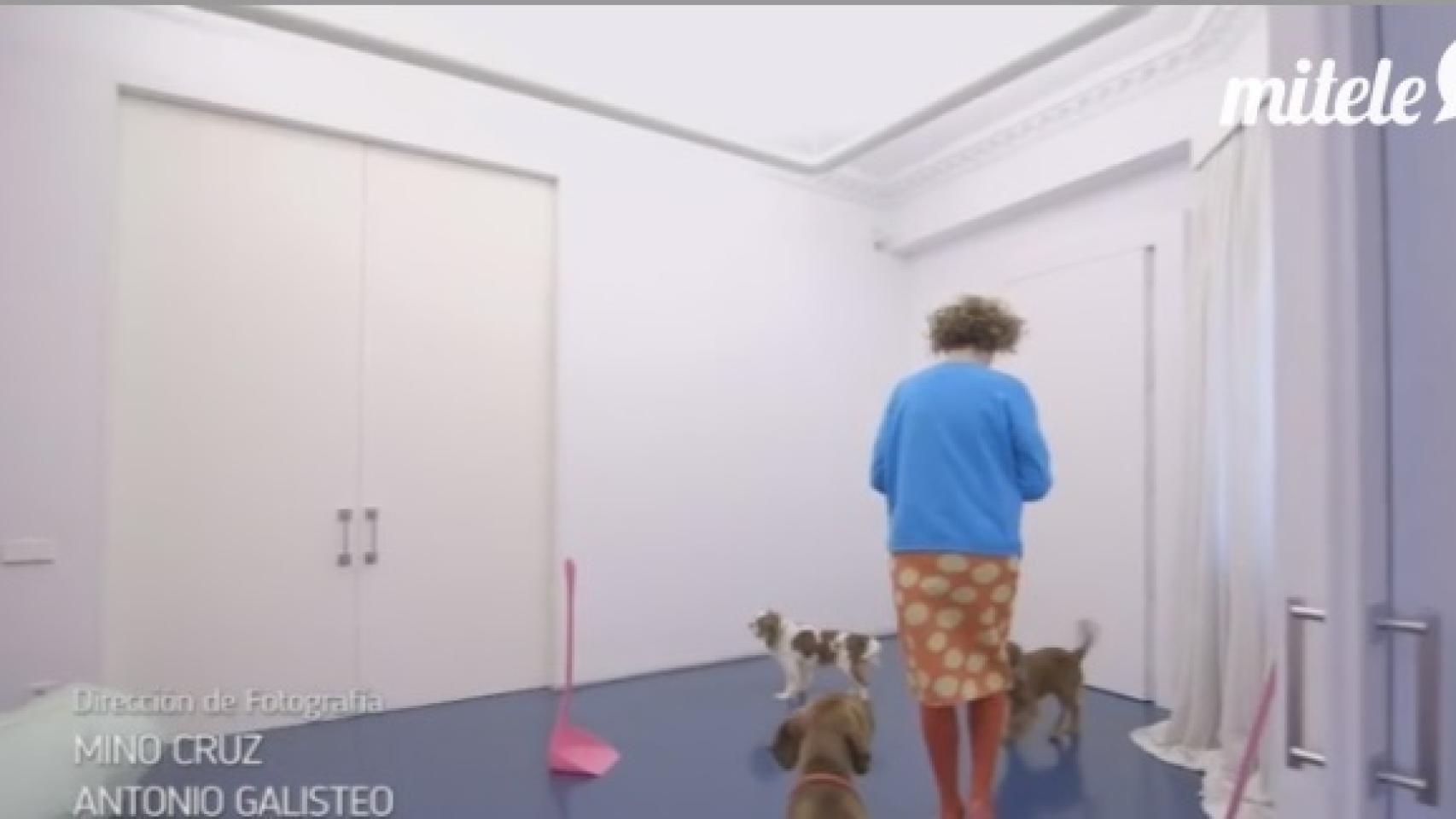 Henry el más pequeño de los perros de Agatha fue a recibir a Bertín