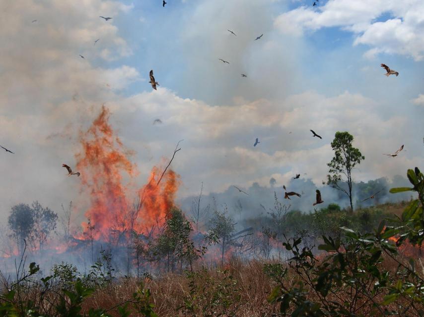 El fuego pede ser controlado.