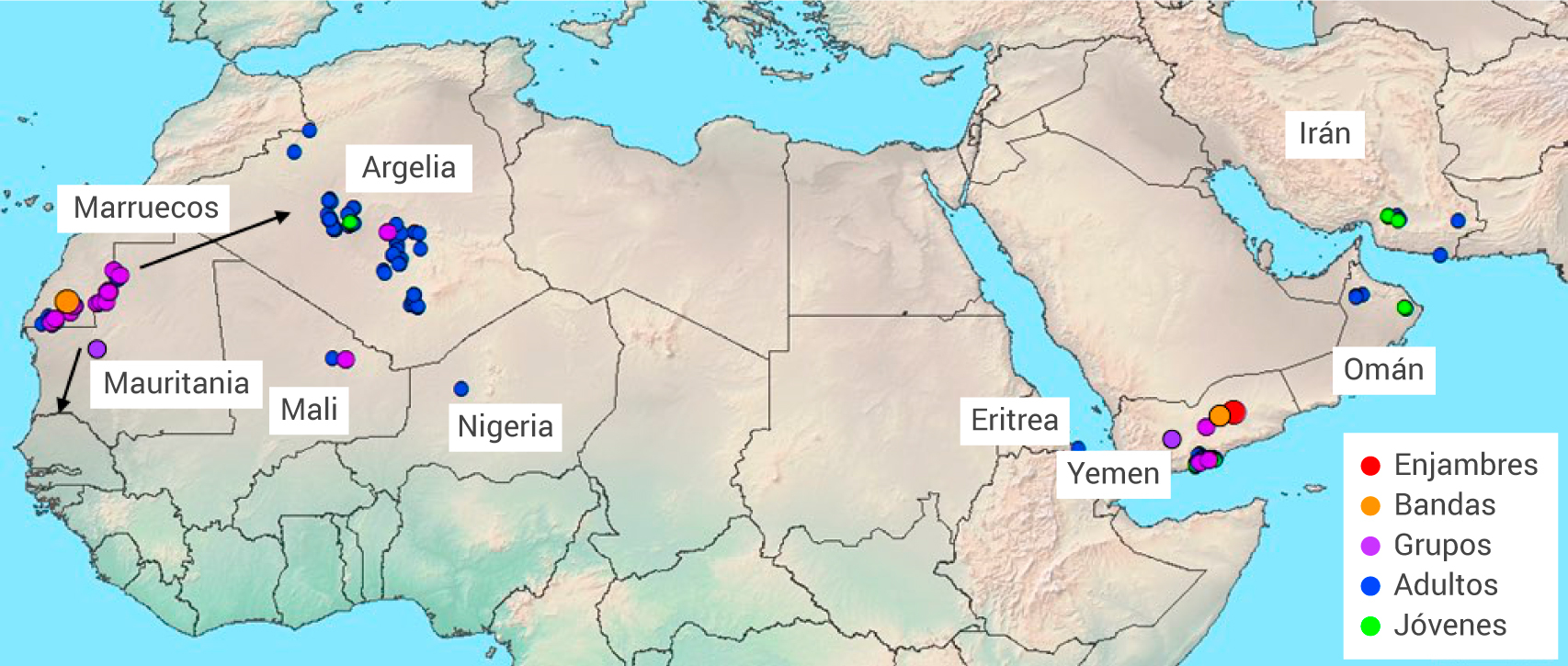Distribución de la langosta del desierto el pasado mes de abril.