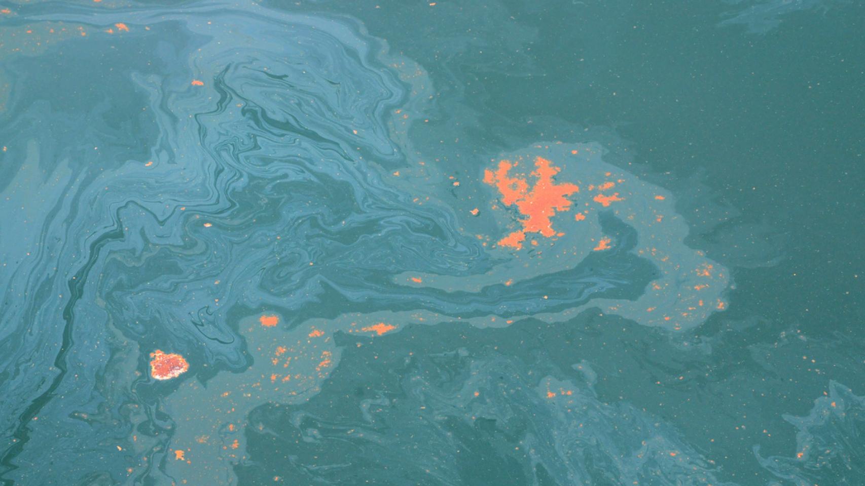 Vista aérea del vertido del Deepwater Horizon en aguas de Florida.