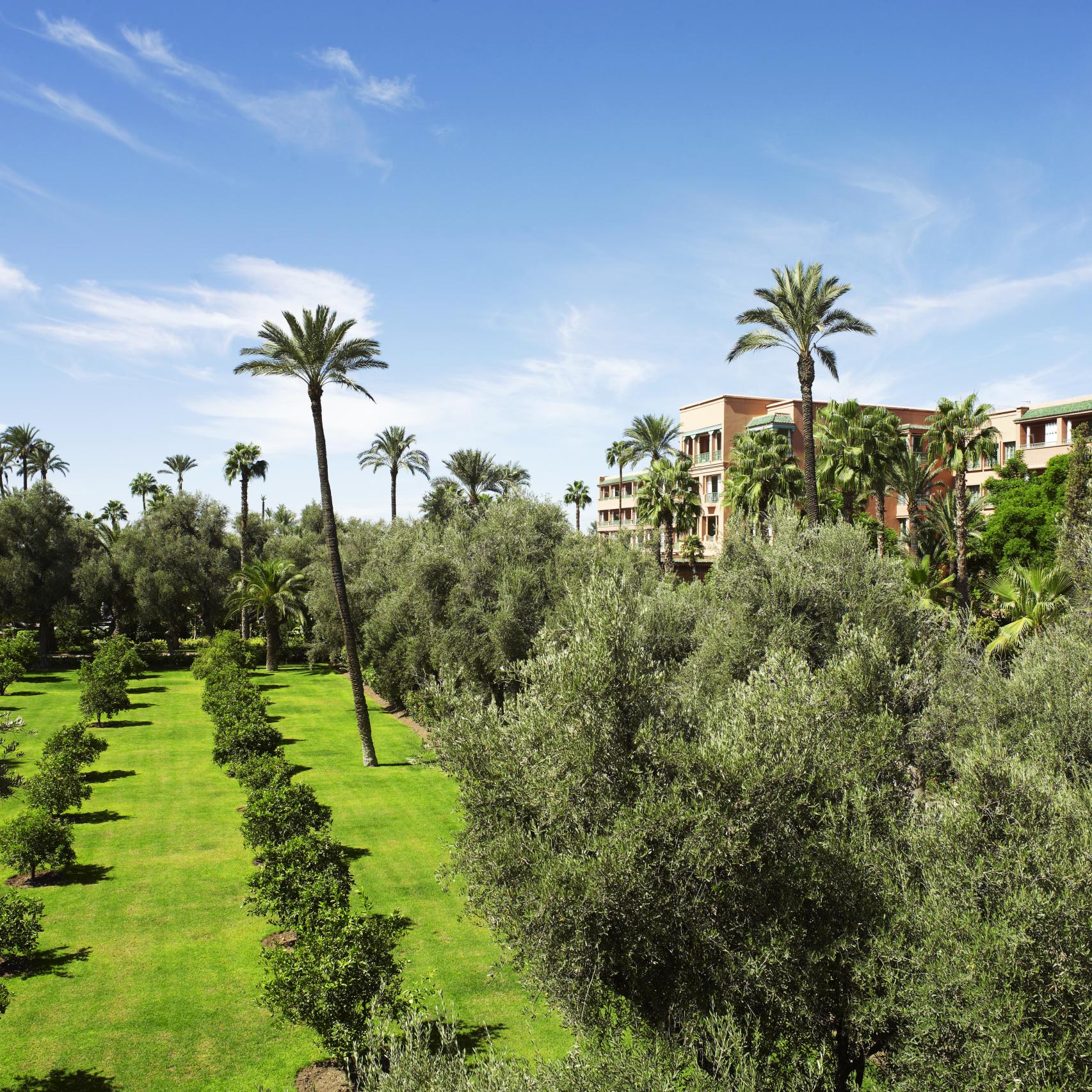 Espectaculares jardines de La Mamounia