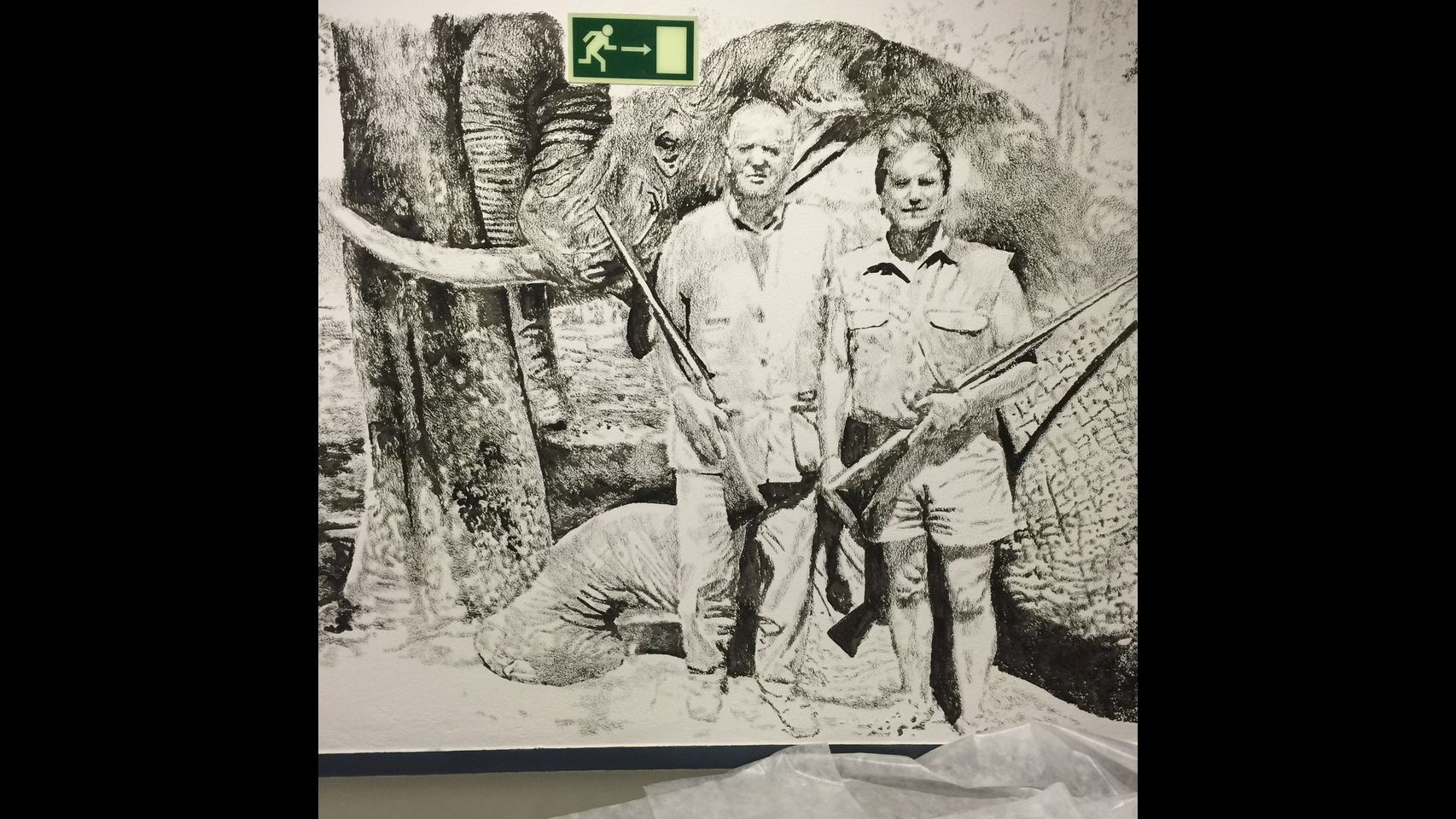 Animalista: representación, violencia y respuestas.