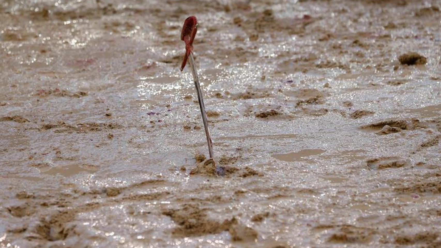 El estoque del diestro Paco Ureña clavado en el albero tras entrar a matar a su segundo toro.