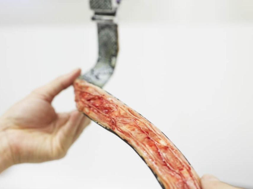 Un cinturón de serpiente