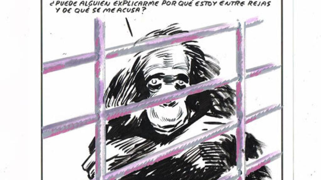 Image: Arte con garra