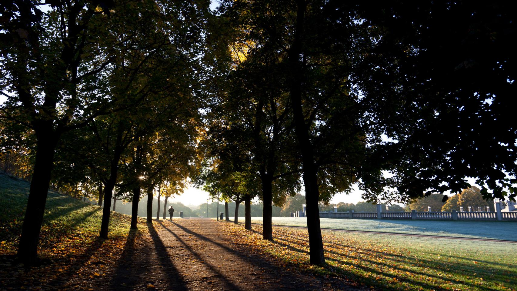 Otoño en uno de los numerosos parques de la ciudad.