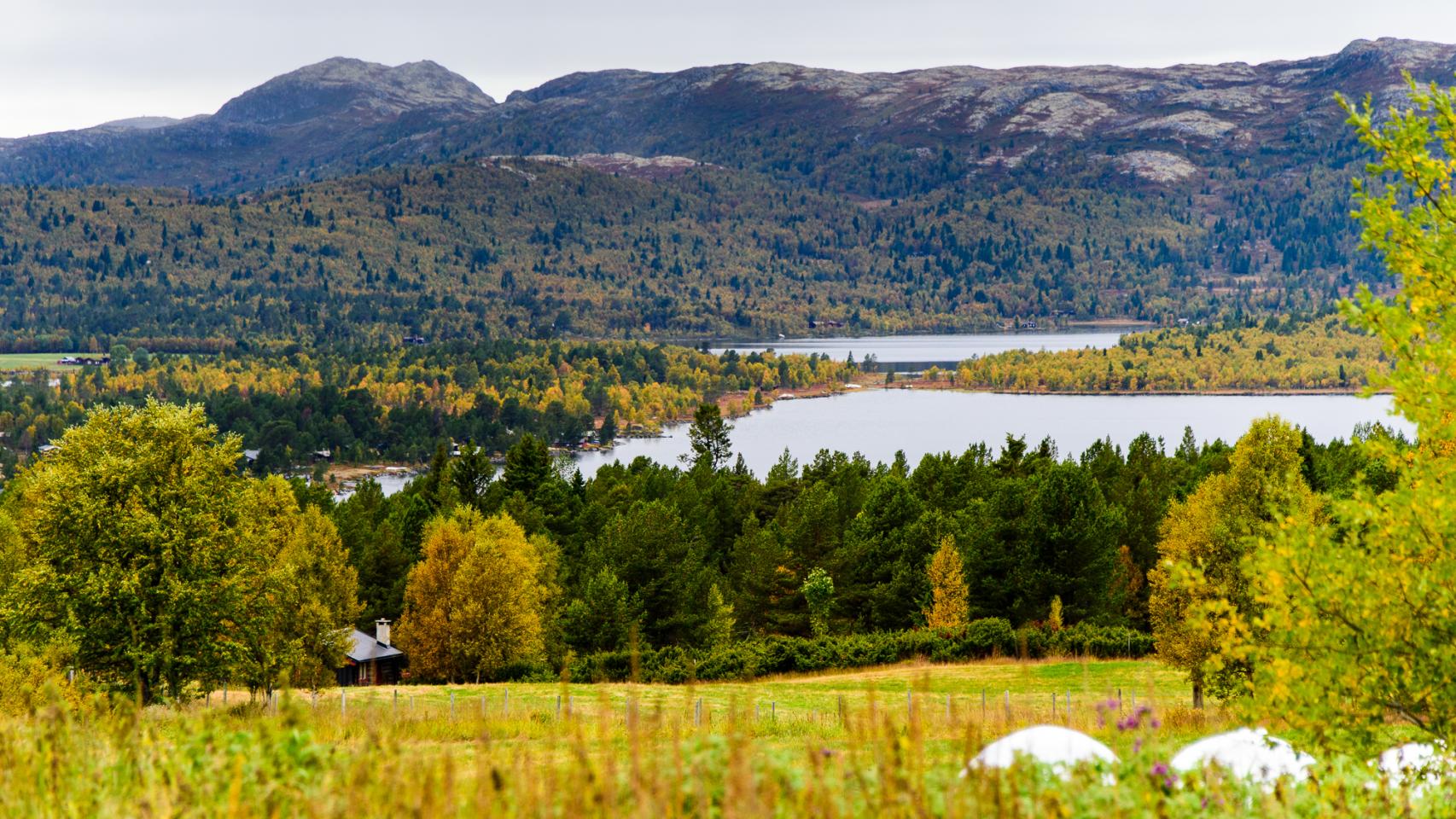 Naturaleza salvaje y espectacular en Dalseter.
