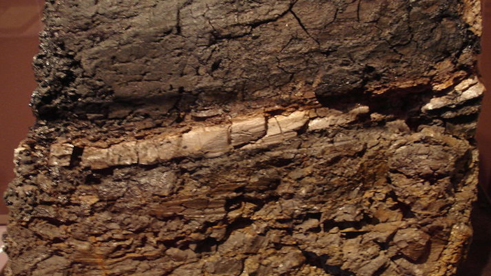 La capa intermedia contiene 1.000 veces más iridio que las otras.