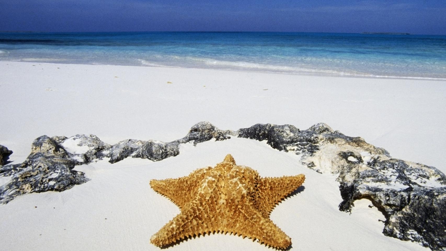 Mojitos, palmeras y 'offshore': ruta turística por 10 paraísos fiscales