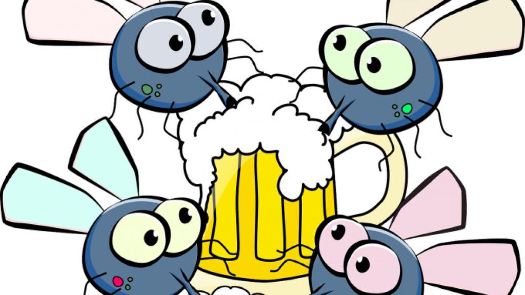 flies-161350_1280-1-680x575