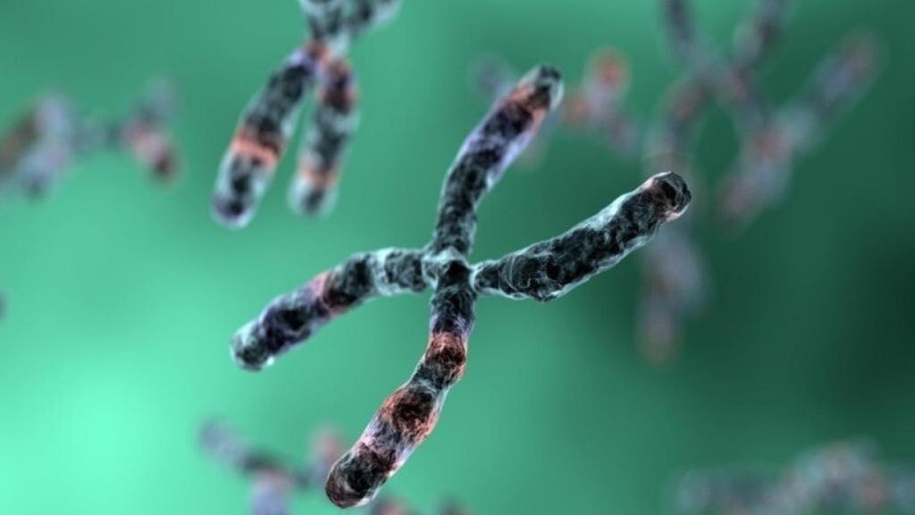 genes-juventud-e1463583024512