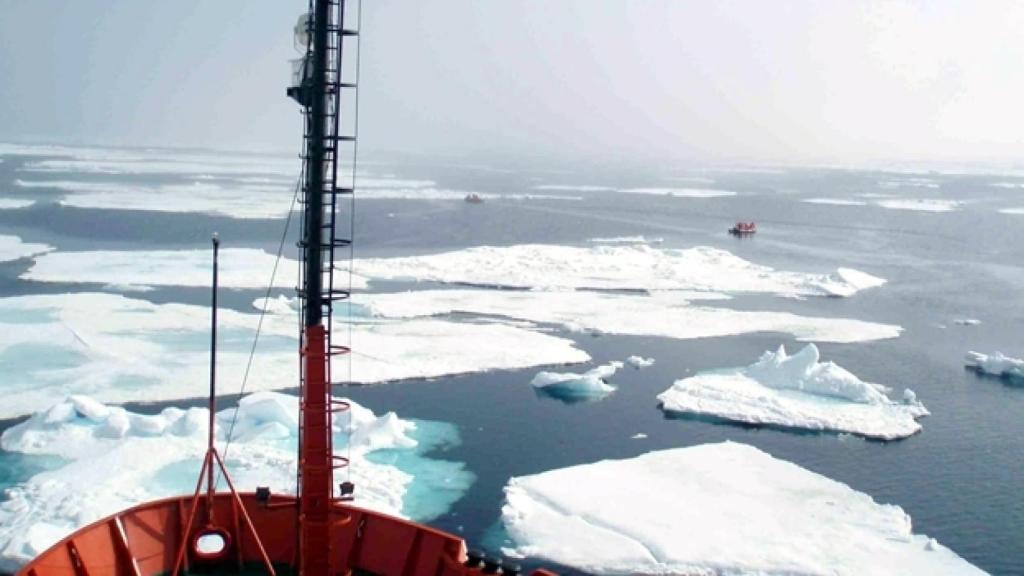 artico_algas_cambio_climatico