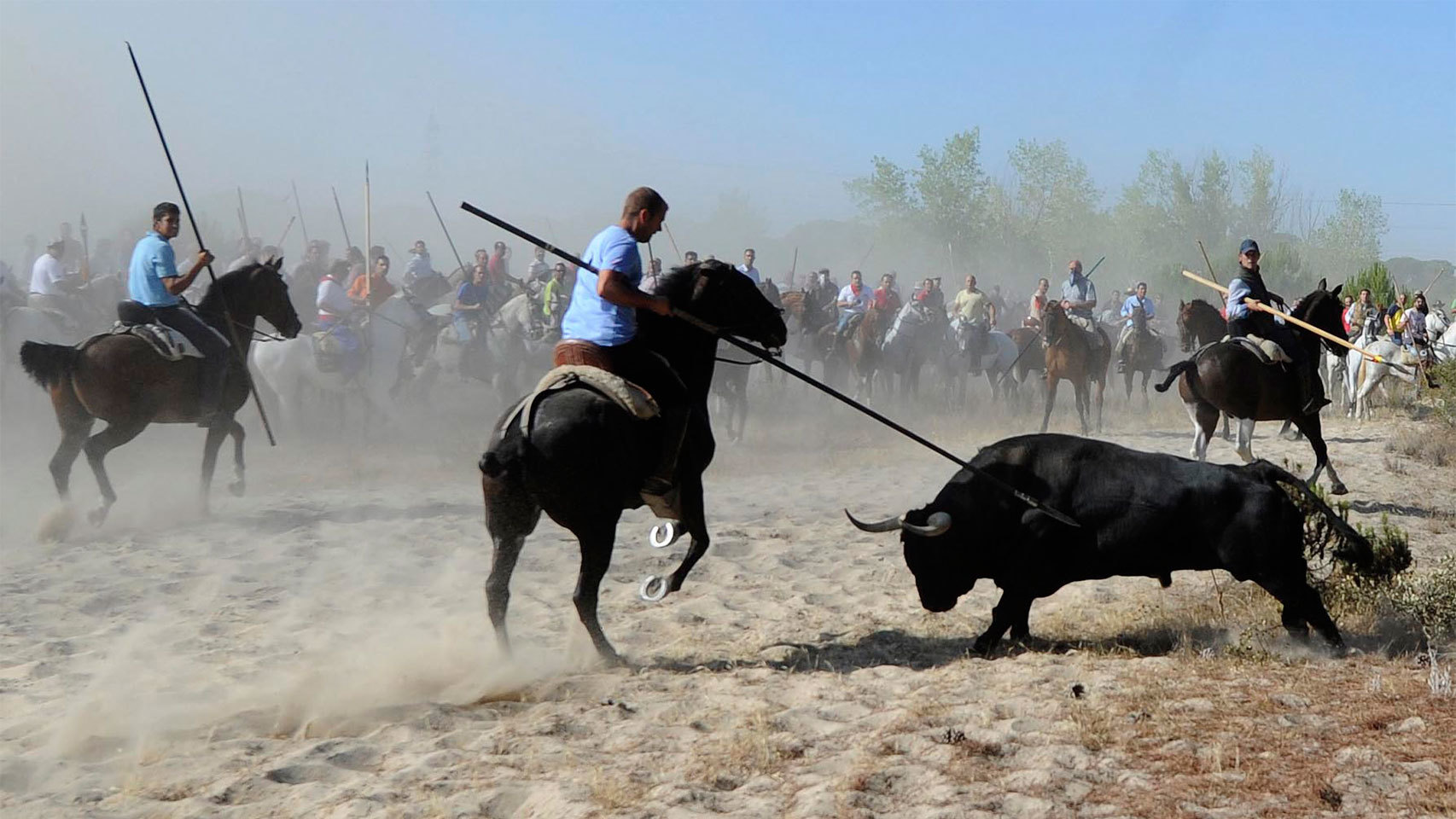 Tordesillas no matará al Toro de la Vega