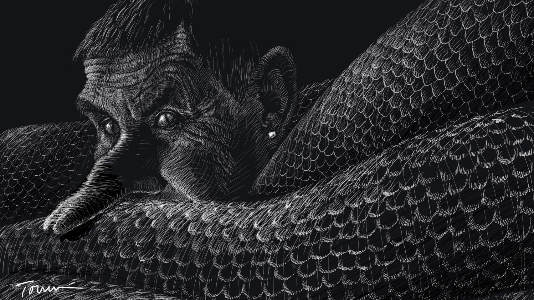 Ilustración: Tomás Serrano