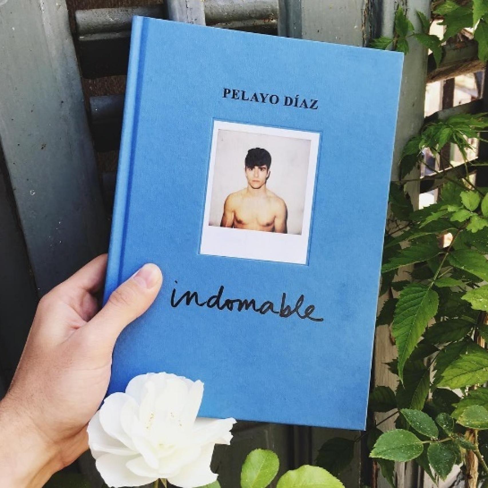 Portada del libro de Pelayo